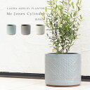 Mr Jones Cylinder 直径38cmサイズ LAURA ASHLEY PLANTER【在庫限り】 (春のガーデニングフェア第3弾)