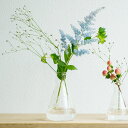 花瓶 フラワーベース 日本製ガラス シンプル 花器 理化学品 HARIO ハリオ 三角フラスコ 100mL