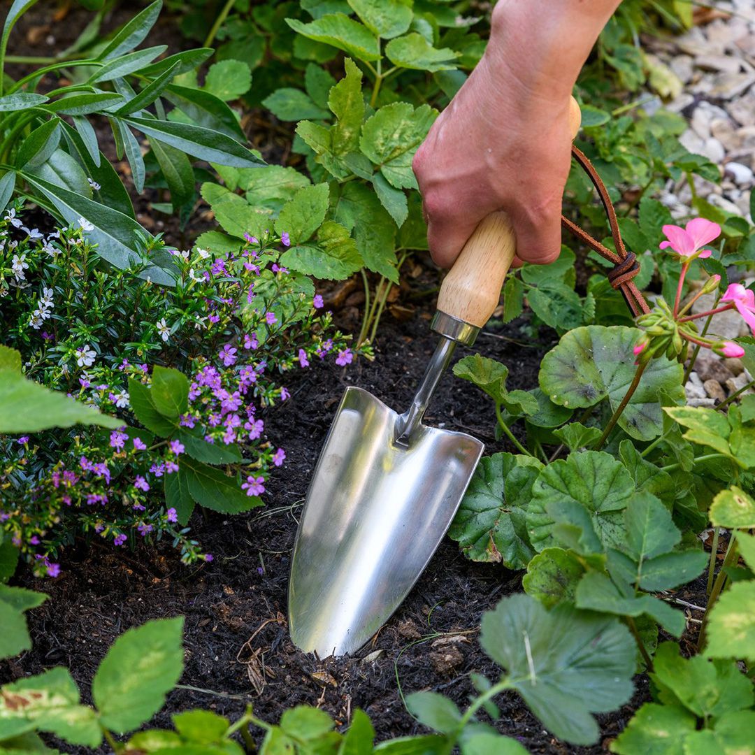 園芸 ガーデニング用 ハンディ シャベル ステンレススチール製 ハンドトロール（移植スコップ） Stainless Hand Trowel RHS認定品 Burgon&Ball バーゴン＆ボール