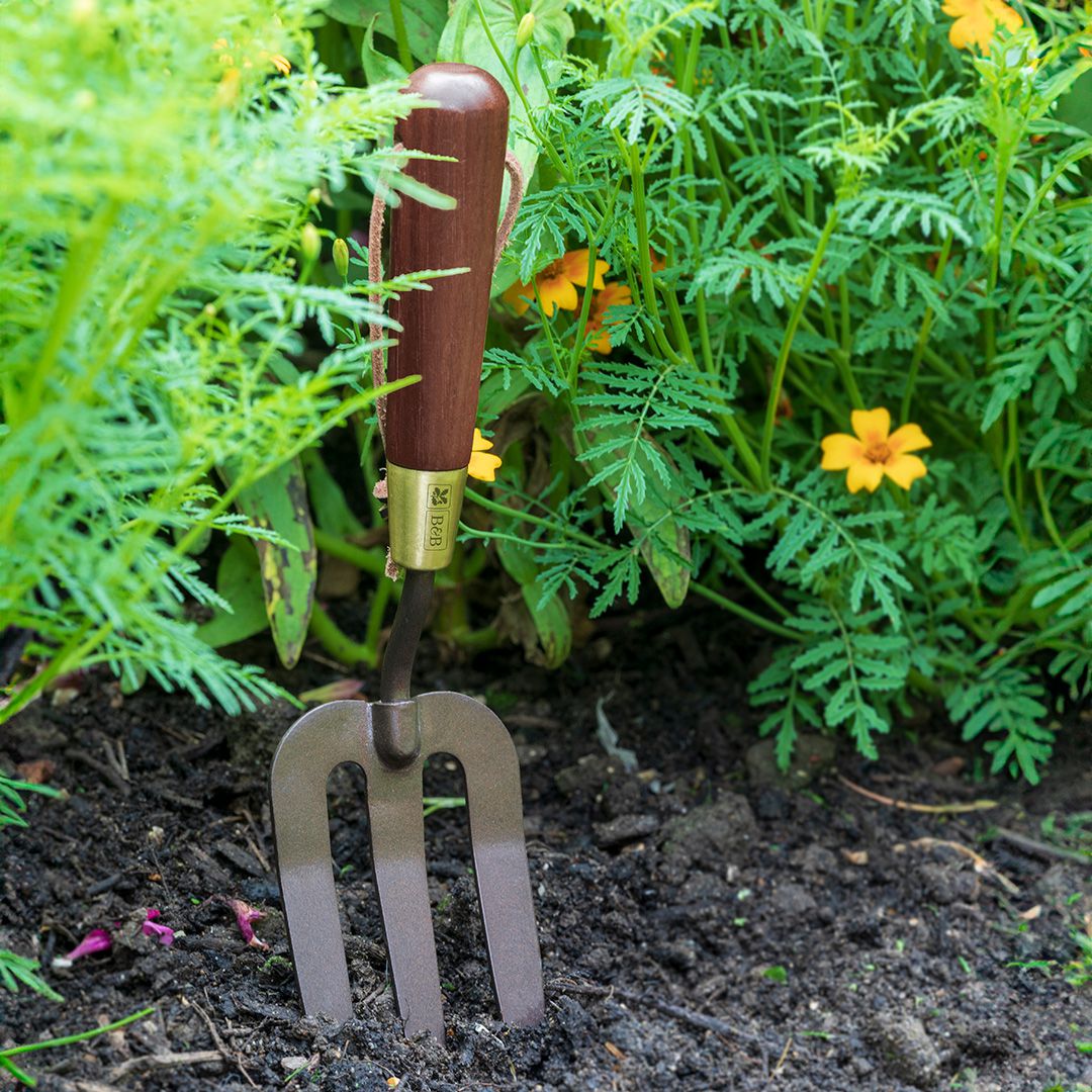  ǥ˥ ϥǥ  ϥɥե National Trust ʥʥ롦ȥ饹 Hand Fork Burgon&Ball Сܡ (ޥ饽PTUP)