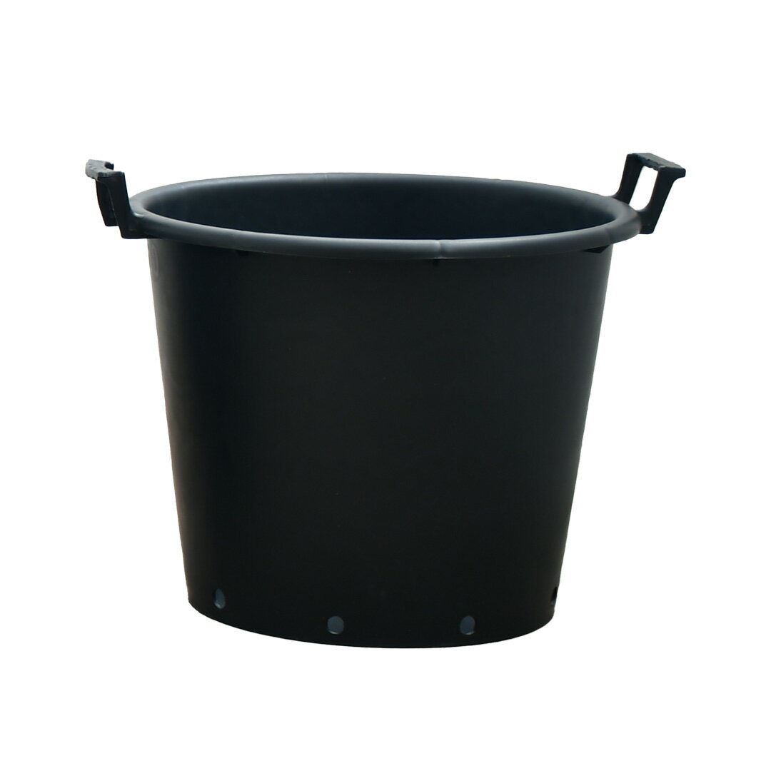 園芸 植木鉢 大型 育成用 ブラック ナーセリーポット ハンドル付き 50