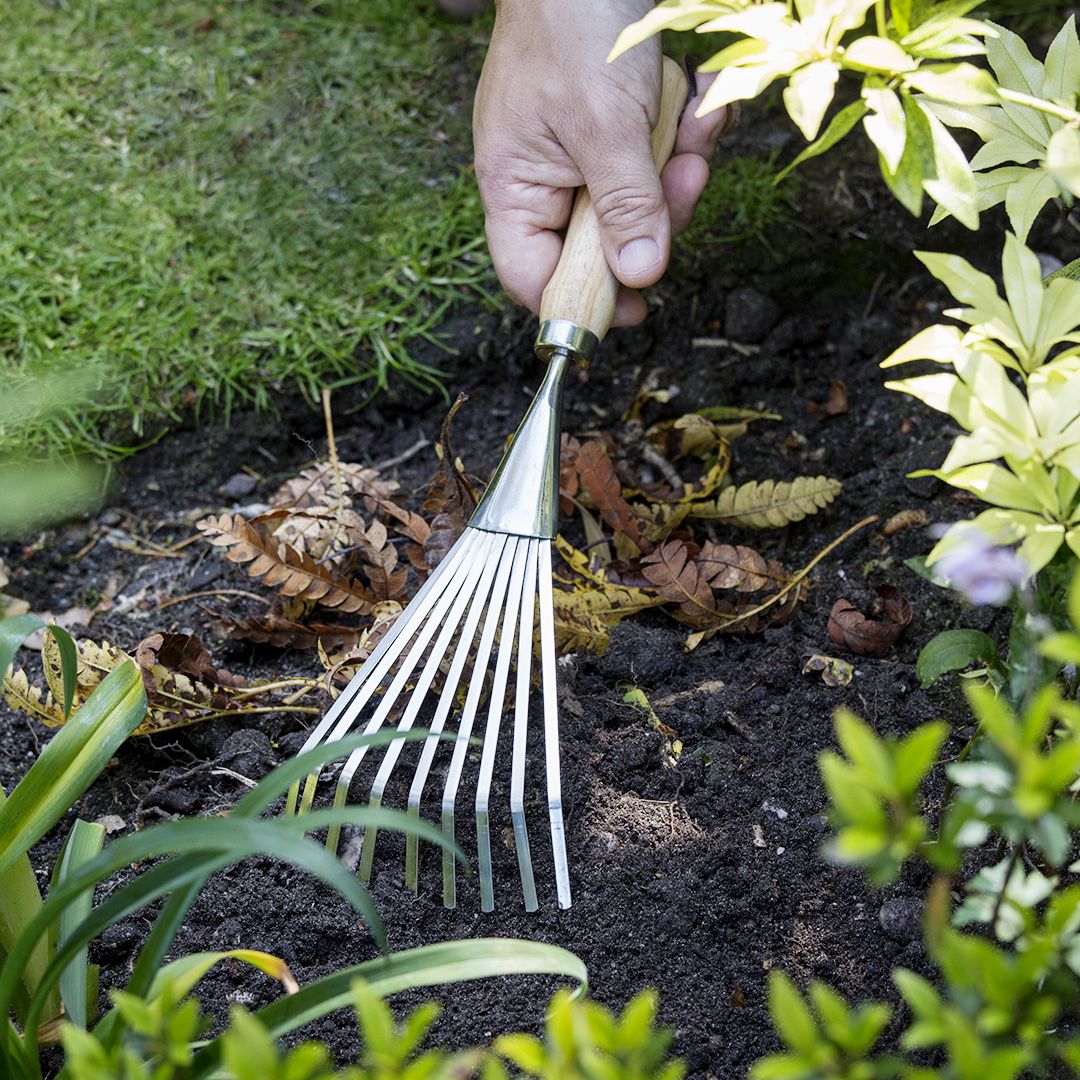 園芸 ガーデニング用 ハンディ 落ち葉集め ステンレススチール製 シュラブレーキ（ステンレス製熊手） SHRUB RAKE RHS認定品 Burgon&Ball バーゴン＆ボール