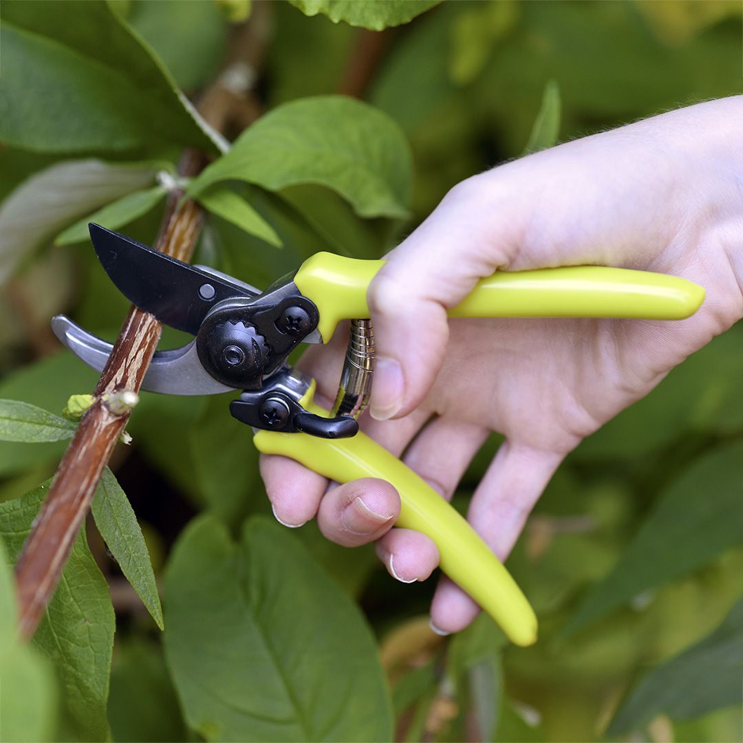 園芸 ガーデニング用 庭木 薔薇 剪定 枝切 はさみ マイクロ剪定ばさみ グリーン Micro Secateur RHS認定品 Burgon&Ball バーゴン＆ボール【追跡可能メール便(日本郵便) 選択で送料無料】