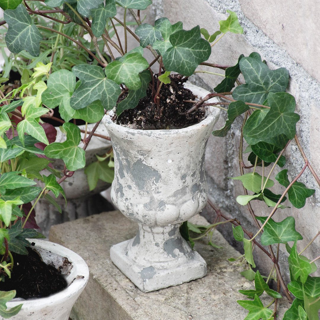 アンティーク調ガーデンポット モーレポットB Sサイズ モスグレー ※在庫限り