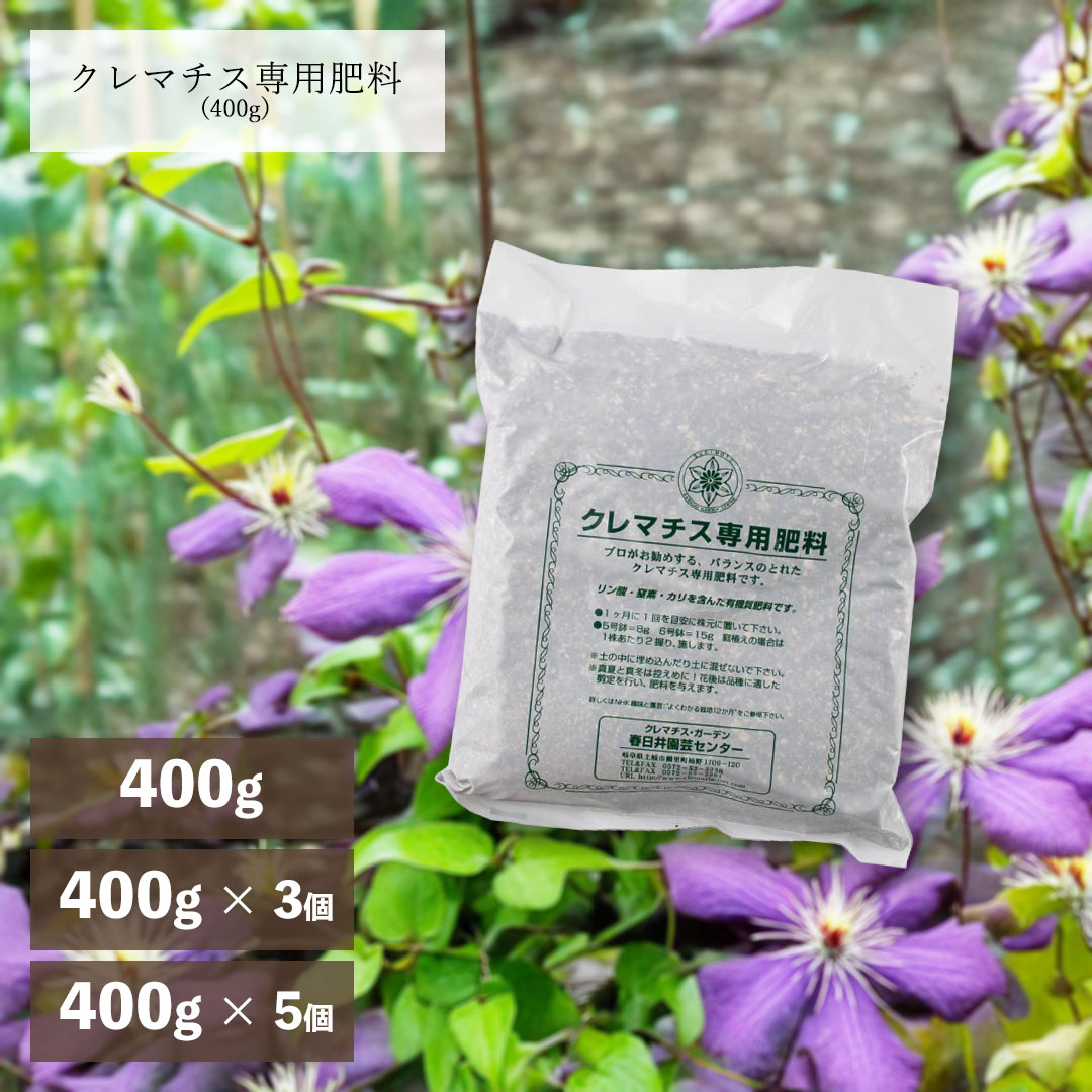 楽天市場】クレマチス 6号の通販