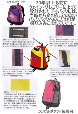 2014SSリニューアルGREGORY:グレゴリーデイパック(グレゴリーリュック)DAYPACK【フューシャ】【ドラマ:都市伝説の女で長澤まさみさん使用と同じモデルで色違いのリュックサック】レディースリュックサック