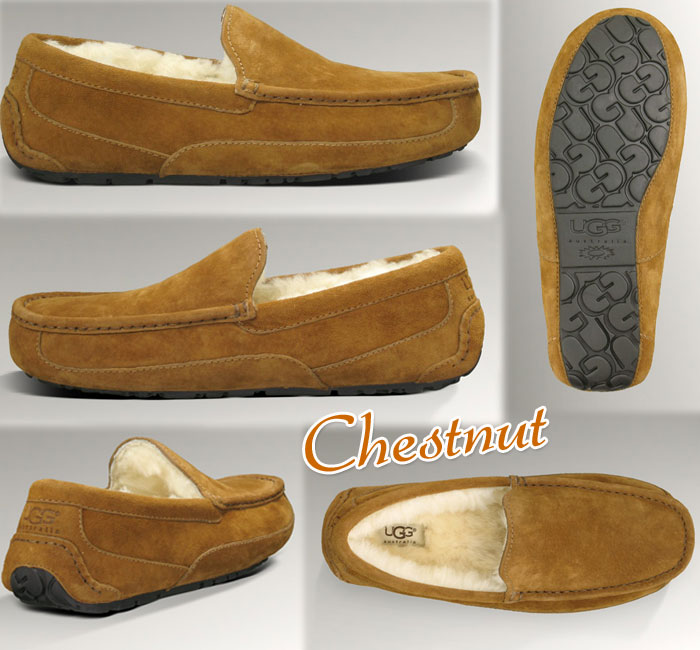 定番【安心の 国内正規商品 】 UGG AUSTRALIA （ アグ オーストラリア ） 【 MEN'S ： メンズ 】 ugg ASCOT : アスコット 【 CHESTNUT 】　ugg メンズ ムートン　dakota　メンズ　撥水加工