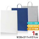 NEW アクティブバッグ LP 1枚?100枚 特大 ラミネート仕様 手提げ紙袋 丸玉工業