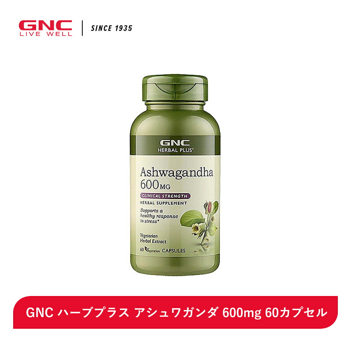 【消費期限間近（2024年11月）50％OFF！】【GNC公式】GNC ハーブプラス アシュワガンダ 600mg 60カプセル ハーブ サプリメント アダプトゲン 天然 ナチュラル