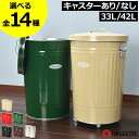 ゴミ箱 45リットル 45L 33L/42L おしゃれ ダストボックス キッチン 分別 臭わない おむつ用 ふた付き リビング 大きい 大容量 ペットボトル キャスター付き 缶 ビン ペット いたずら 防止 生ごみ用 屋外用 外置き 蓋付き 北欧 黒 中身見えない 防臭 オバケツ( OBAKETSU )