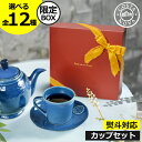 コスタノバ 食器 ギフトセット 【全12種】【当店限定ボックス】 おしゃれ 洋食器 紅茶 おうちカフェ ティーカップ コーヒーカップ マグカップ ブランド カフ...