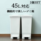 ゴミ箱 45L袋可 おしゃれ 45リットル袋可 密閉 生ごみ 45リットル キッチン ペダル ふた付き 収納 中身 袋 見えない 臭わない ペット ダストボックス ごみ箱 角型 日本 リビング インテリア雑貨 北欧 ホワイト ブラック 白 黒(エバンMP 密閉ペダルペール 45L 2個セット)