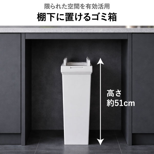 ゴミ箱 おしゃれ ふた付き 【特典付き】 スリム ダストボックス キッチン ワンプッシュ 分別 生ごみ 缶 プラスチック 隙間 ペット いたずら 防止 20リットル 袋が見えない 中身 見えない 約幅20cm リビング シンプル 日本製( ASVEL アスベル 両開きダストボックス 20L ) 3