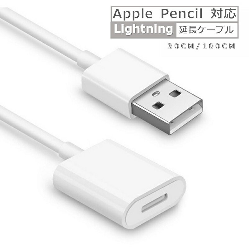 GOCOOL㤨Apple Pencil Ŵ ť֥ 饤ȥ˥ ֥ 30cm 1m 1.5m Ĺ֥ 30 1᡼ȥ 1.5᡼ȥ ® Lightning(᥹-USB ( ¿ǥХб iOS16 iOS17 iOS18 åץ ڥ󥷥 Lightning 8pin ̵ 㤤ʪޥ饽פβǤʤ1,000ߤˤʤޤ