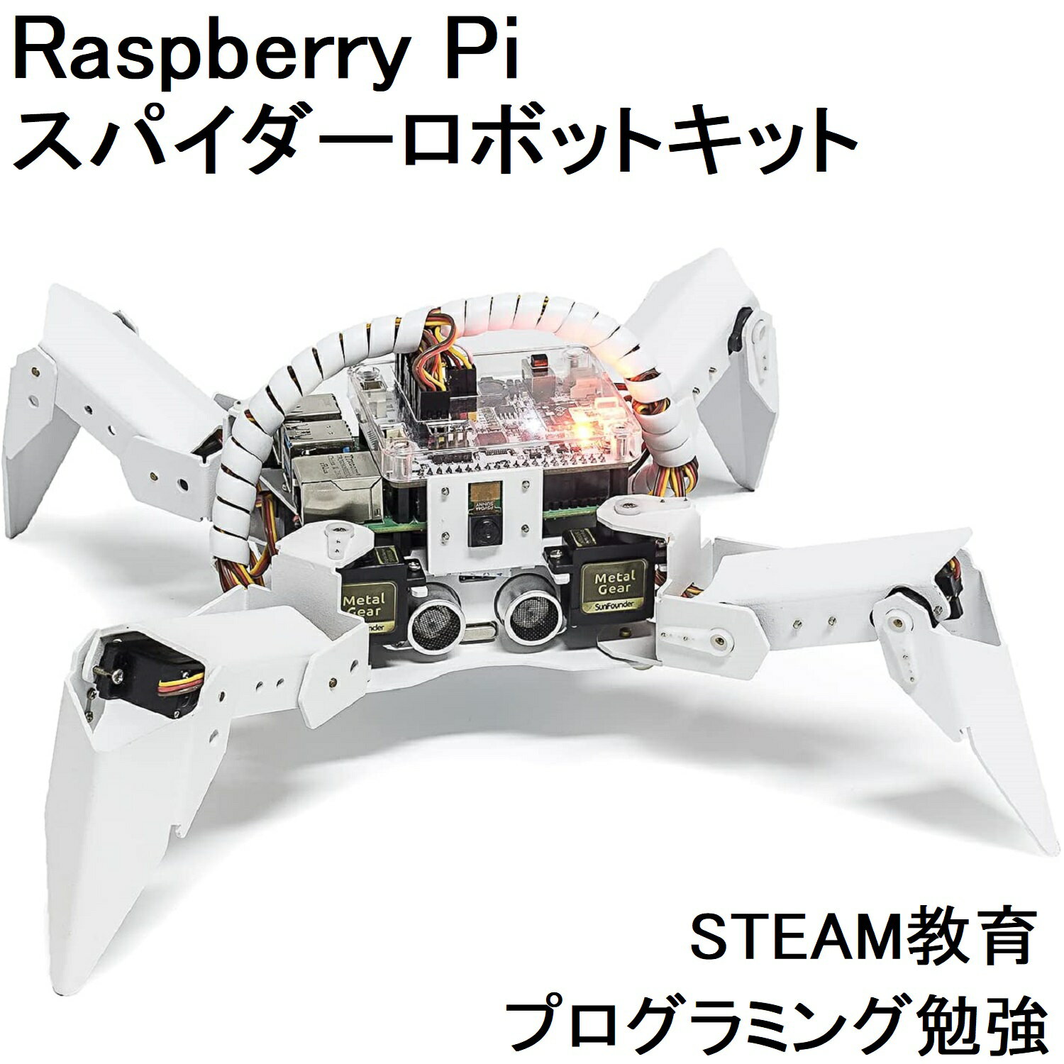 Raspberry Pi Spider ܥåȥå for Raspberry Pi 4 B 3 B+ Python Ezblock W...