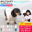 Pet Harness（ペットハーネス）リード付き S ライトブルー×チェック