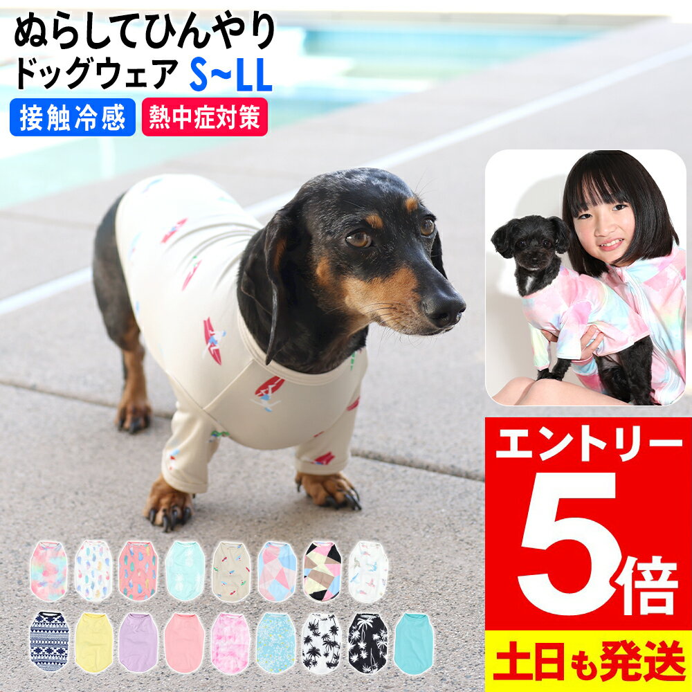 SALEʡۥɥå å奬  ɥå ܿ䴶 UPF50+ SLL  UVå98 ® ڥå...