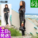 【GWも毎日発送】FELLOW セミドライ 5