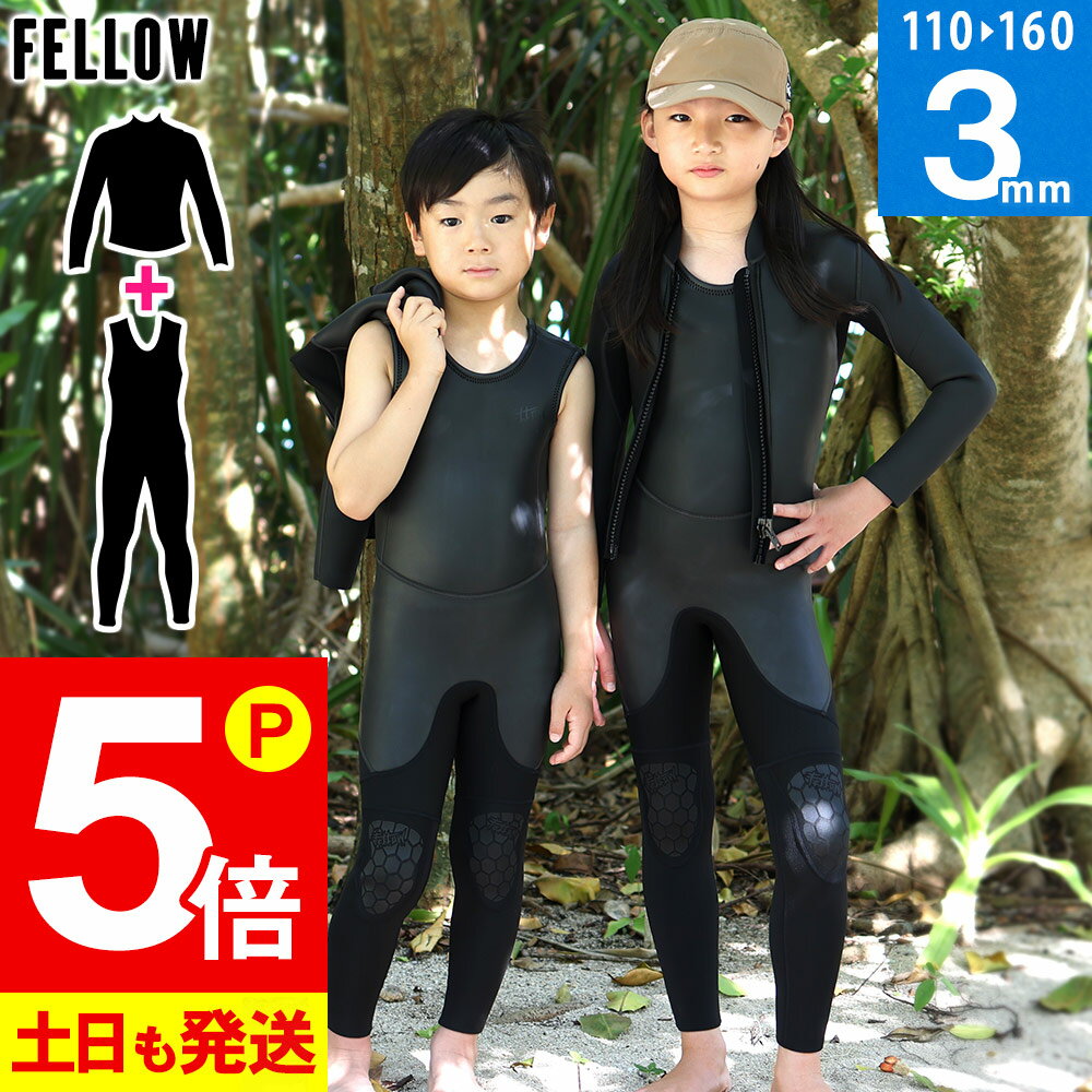 【20日限定！P5倍】FELLOW ウェットス