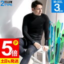 【GWも毎日発送】FELLOW ウェットスー