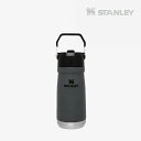 STANLEY｜Flip Straw Water Bottle 17oz/ スタンレー/フリップ ストロー ウォーター ボトル/チャコルグレー