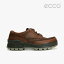 ECCOTrack 25 Gore-Tex/ /ȥå ƥå ץߥ쥶/Х֥饦 #