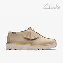 ・CLARKS|Desert Trek GTX Gore-Tex Suede Vibram/ クラークス/デザート トレック ゴアテックス スエード ビブラム/...