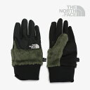 ザ・ノース・フェイス　手袋（メンズ） ・THE NORTH FACE｜Denali Etip Glove/ ノース フェイス/デナリ イーチップ グローブ/ニュートープ #