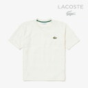 ・LACOSTE|Pile Border SS T-shirt - Japan Made/ ラコステ/パイル プリント ストライプ Tシャツ ジャパン メイド/ホワイト #