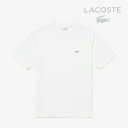 LACOSTE｜Outline Croc Pocket T-Shirt/ ラコステ/アウトライン クロック ポケット ショート スリーブ Tシャツ/ホワイト