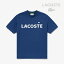 LACOSTEHeavyweight Brand Name Logo SS T-shirt/ 饳/إӡ ֥ ͡  硼ȥ꡼ T/֥롼 #