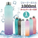 ウォーターボトル 水筒 1000ml 1リットル 軽量 タイムマーカー付き 透明 水筒 ミント モチベーション測定 時間と量付き BPAフリーのつや消しプラスチ...