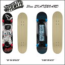 【送料無料】SATELLITE SKATE BOARDS コン