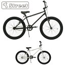 T-Street 24 x 3.0 ティーストリート BMX セミファットバイク 24BMX ツーフォー マットブラック / ホワイト / クールグレイ その1