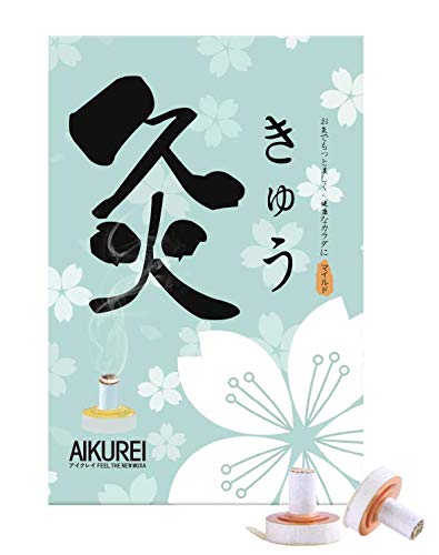アイクレイ台座灸 100個入り マイルド(温熱：約44度) お灸のアイクレイ AIKUREI MOXAのサムネイル