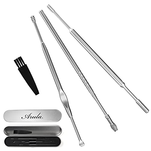 耳かき こだわりの先端5種類3本セット ステンレス 金属 スクリュー型 スプーン型 コイル型 専用ブラシ 専用ケース付き 美しい光沢