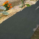 アストロ 防草シート 0.5×20m グリーン 不織布 厚手 UV耐候剤配合 高耐久 農業 園芸用 602-59