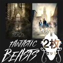 ファンタスティック・ビーストと魔法使いの旅 大型ポスター2枚セット