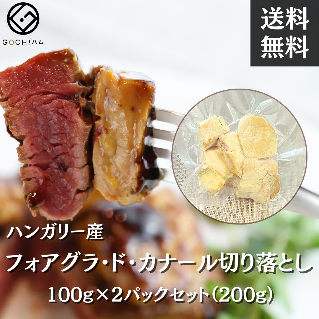 【訳アリ】フォアグラ・ド・カナール切り落とし 100g×2パックセット（計200g） 送料無料 ハンガリー産 ポーション お買い得 冷凍 訳あり ワイン 贅沢 パーティー お取り寄せグルメ フレンチ テリーヌ