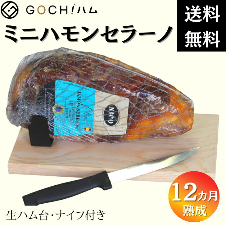 【おうちでバル気分！】スペイン産 Nico Jamones社 ミニハモンセラーノ原木セット950g/Hamon Serrano 生ハム ホームパーティ キャンプ飯 クリスマスパーティ【冷蔵】