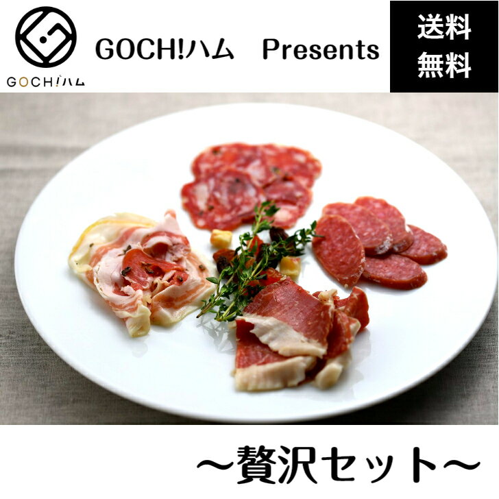 【生ハム・サラミ〜贅沢セット〜】GOCH!ハムが贈る贅沢をご家庭で 美味しいおつまみ 晩酌 ワイン おもてなし パーティー お取り寄せグルメ スペイン料理 イタリア料理 オードブル 酒の肴 珍味 ピザ 煮込み料理 バル 家飲み 送料無料