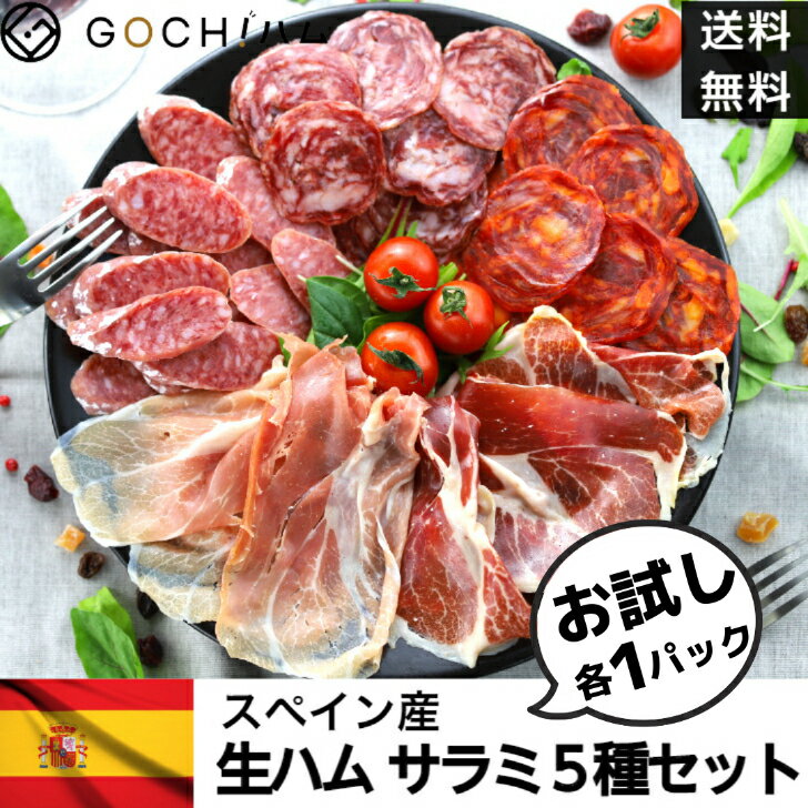 【限定クーポン配布中！】スペイン産 贅沢生ハムサラミ5種各1パックセット 食べ比べ イベリコ豚 おつまみ セット お取り寄せ 内祝い 誕生日 ギフト 詰め合わせ ワイン 送料無料 クリスマスパーティ ホームパーティー 生ハム チョリソー サラミ