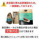 gochi-hamu:10000201のサンプル画像2