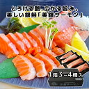 宮城県産 美銀サーモン 刺身用 750g 1箱 (柵3〜4本) 【在庫有り】【冷凍】【最短翌日着】真空パック 化粧箱入り 冷凍 生食可 銀鮭 安心 安全 ギフト...