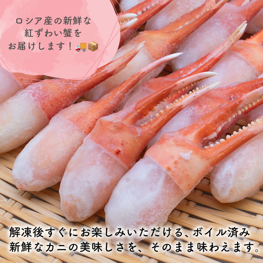 紅ずわいがに 爪 ボイル 2本爪ポーション 2L 1.5kg 66〜81粒 (500g×3パック)【在庫有り】【冷凍】【最短翌日着】カニ ギフト 蟹 かに 紅ズワイガニ 紅ズワイ蟹 紅ずわい蟹 海鮮 ベニズワイガニ お取り寄せ 贈り物 業務用 ずわい グルメ カニ鍋 プレゼント
