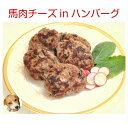 無添加 犬 手作り ごはん ご飯 犬用手作り食 愛犬用ドッグフード 老犬ギフト 誕生日 ケーキ おやつ 老犬用 トッピング