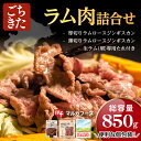 【送料無料セット】北