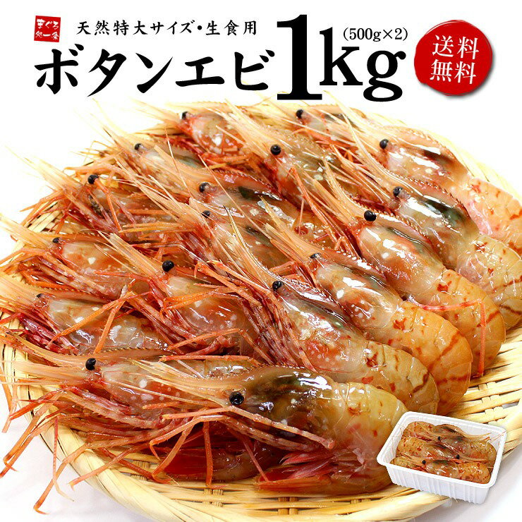 超特大ボタンエビ1kg（18〜24尾）ぷりっぷり甘みたっぷりの天然ぼたんエビ お刺身OK 送料無料（ギフト バレンタイン 恵方巻 母の日 父の日 お中元 内祝 食べ物 贈り物 プレゼント 御祝 内祝 誕生日 高級）om22 [[ぼたんエビ500g-2p]のサムネイル