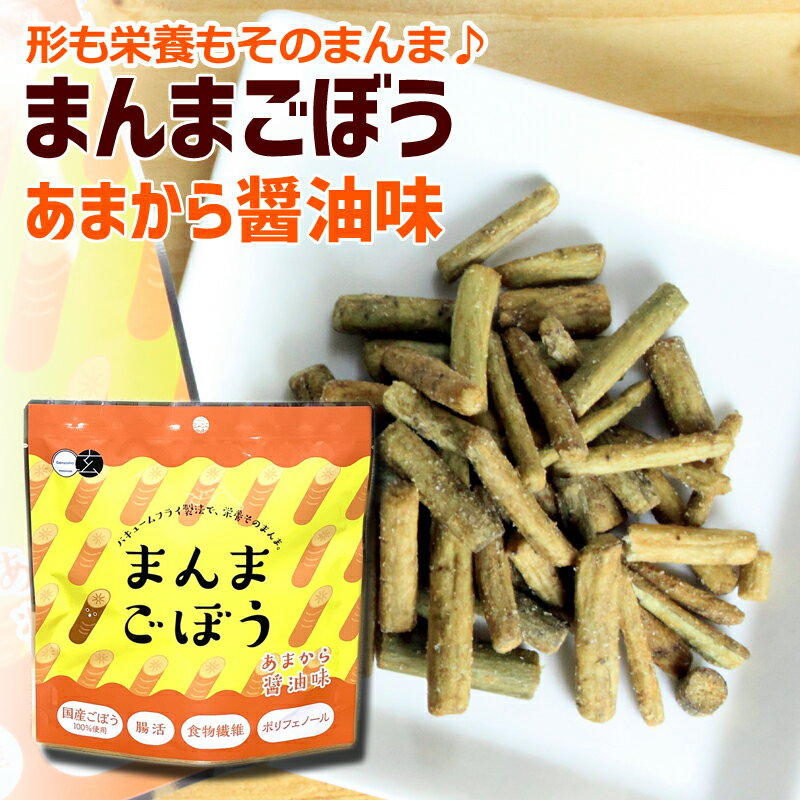 メール便送料無料）まんまごぼう（あまから醤油味35g×2パック）バキュームフライ製法で形も栄養もそのまんま♪