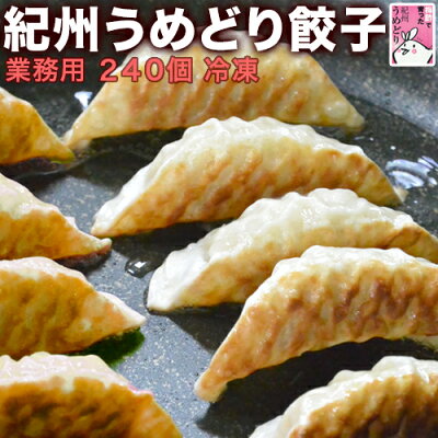 餃子(ギョウザ)【業務用】紀州うめどり使用240個(約4.5kg)